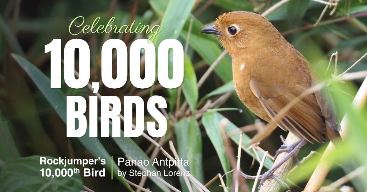 Celebrating 10000 Birds